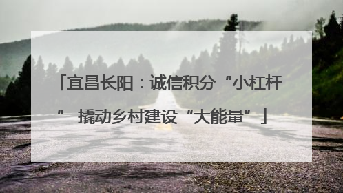 宜昌长阳：诚信积分“小杠杆” 撬动乡村建设“大能量”