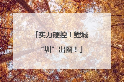 实力硬控！鲤城“圳”出圈！