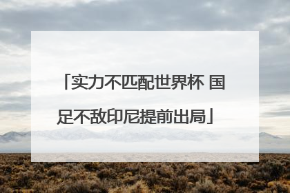 实力不匹配世界杯 国足不敌印尼提前出局