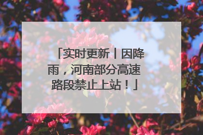 实时更新丨因降雨，河南部分高速路段禁止上站！