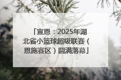 宣恩：2025年湖北省小篮球超级联赛（恩施赛区）圆满落幕