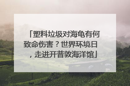 塑料垃圾对海龟有何致命伤害？世界环境日，走进开普敦海洋馆