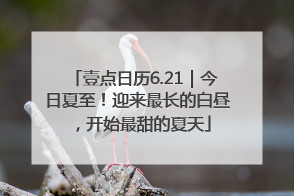 壹点日历6.21｜今日夏至！迎来最长的白昼，开始最甜的夏天