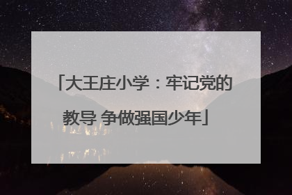 大王庄小学：牢记党的教导 争做强国少年