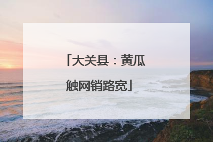 大关县：黄瓜触网销路宽