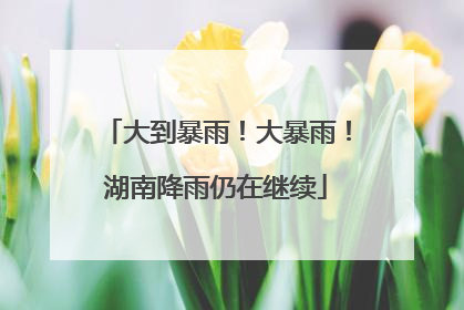 大到暴雨！大暴雨！湖南降雨仍在继续
