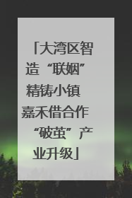 大湾区智造“联姻”精铸小镇 嘉禾借合作“破茧”产业升级