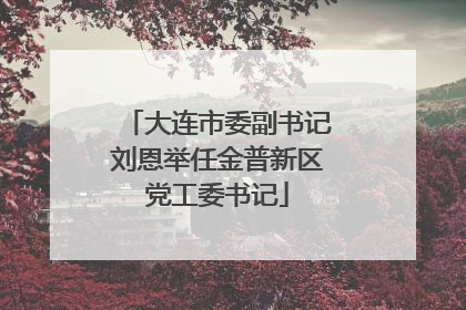 大连市委副书记刘恩举任金普新区党工委书记
