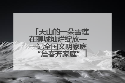 天山的一朵雪莲在聊城灿烂绽放——记全国文明家庭“詹春芳家庭”