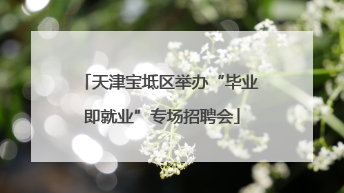 天津宝坻区举办“毕业即就业”专场招聘会