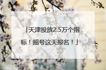 天津投放2.5万个指标！摇号这天报名！