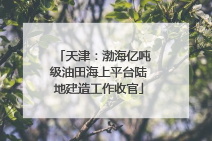 天津：渤海亿吨级油田海上平台陆地建造工作收官