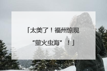 太美了！福州惊现“萤火虫海”！