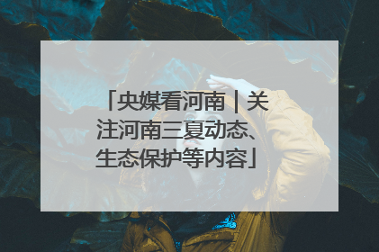 央媒看河南｜关注河南三夏动态、生态保护等内容