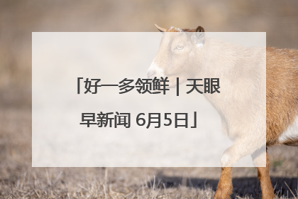 好一多领鲜｜天眼早新闻 6月5日