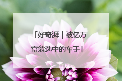 好奇湃｜被亿万富翁选中的车手