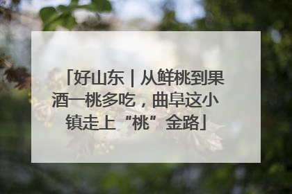 好山东｜从鲜桃到果酒一桃多吃，曲阜这小镇走上“桃”金路