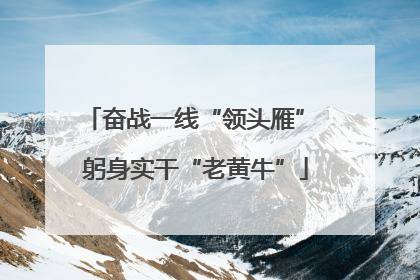 奋战一线“领头雁” 躬身实干“老黄牛”