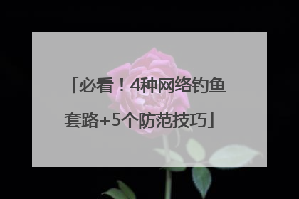 必看！4种网络钓鱼套路+5个防范技巧