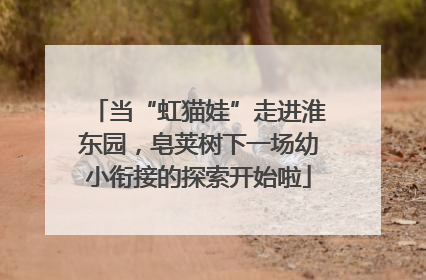 当“虹猫娃”走进淮东园，皂荚树下一场幼小衔接的探索开始啦