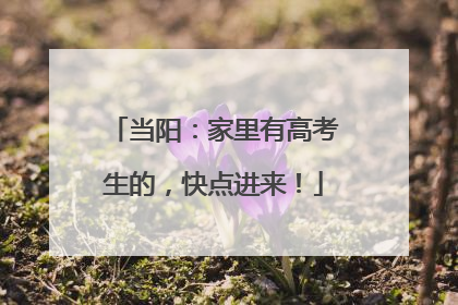 当阳：家里有高考生的，快点进来！