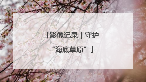影像记录｜守护“海底草原”