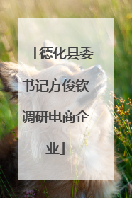 德化县委书记方俊钦调研电商企业