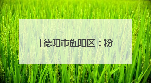 德阳市旌阳区：粉色木耳产销两旺 新品种助力乡村振兴