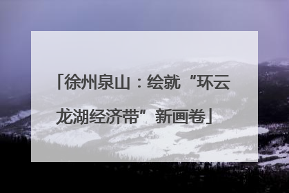 徐州泉山：绘就“环云龙湖经济带”新画卷