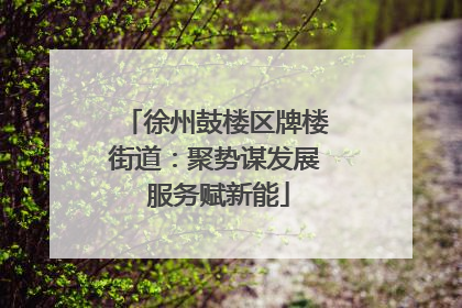 徐州鼓楼区牌楼街道：聚势谋发展 服务赋新能