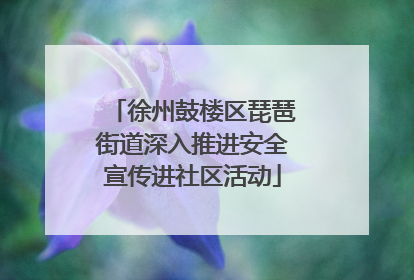 徐州鼓楼区琵琶街道深入推进安全宣传进社区活动