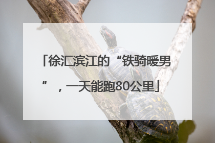 徐汇滨江的“铁骑暖男”，一天能跑80公里