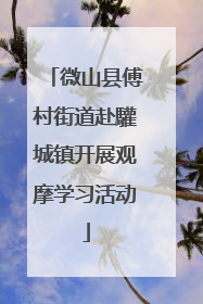 微山县傅村街道赴驩城镇开展观摩学习活动