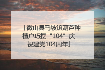 微山县马坡镇葫芦种植户巧摆“104”庆祝建党104周年