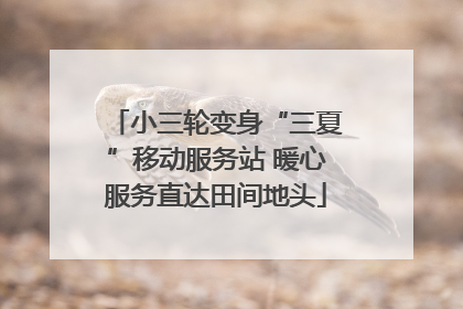 小三轮变身“三夏”移动服务站 暖心服务直达田间地头