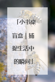 小书桌盲盒｜捕捉生活中的瞬间