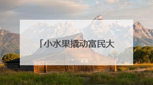 小水果撬动富民大产业 特色农业绘就乡村振兴新画卷