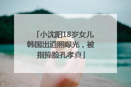 小沈阳18岁女儿韩国出道照曝光，被指撞脸孔孝真