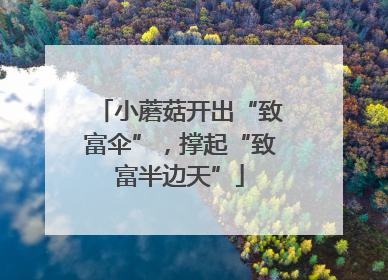 小蘑菇开出“致富伞”，撑起“致富半边天”