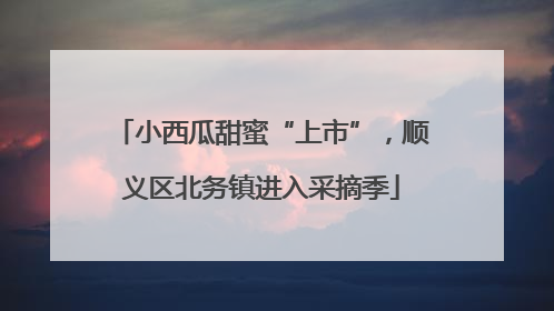 小西瓜甜蜜“上市”，顺义区北务镇进入采摘季