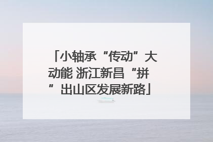 小轴承“传动”大动能 浙江新昌“拼”出山区发展新路