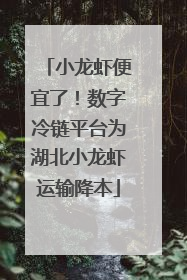 小龙虾便宜了！数字冷链平台为湖北小龙虾运输降本