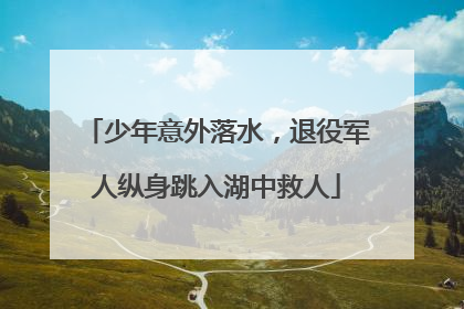 少年意外落水，退役军人纵身跳入湖中救人