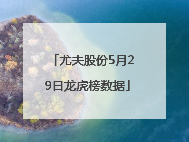 尤夫股份5月29日龙虎榜数据