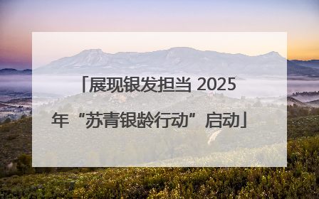 展现银发担当 2025年“苏青银龄行动”启动