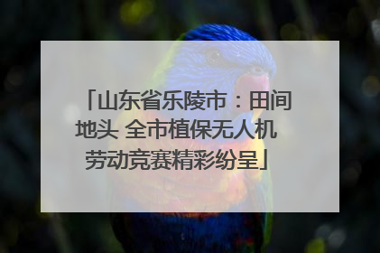 山东省乐陵市：田间地头 全市植保无人机劳动竞赛精彩纷呈