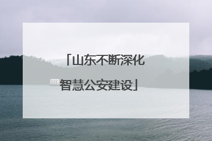山东不断深化智慧公安建设