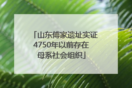 山东傅家遗址实证4750年以前存在母系社会组织