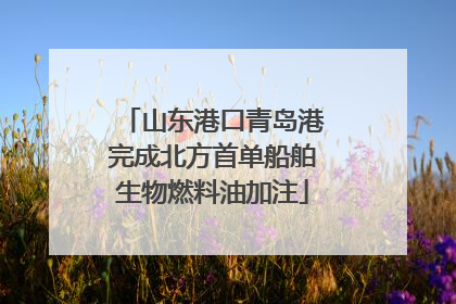 山东港口青岛港完成北方首单船舶生物燃料油加注