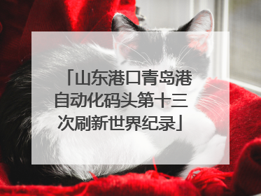 山东港口青岛港自动化码头第十三次刷新世界纪录
